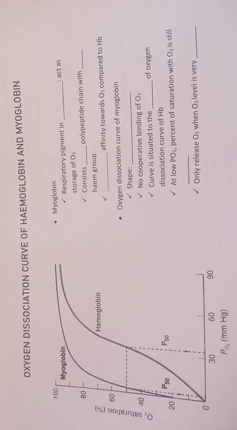 OXYGEN DISSOCIATION CURVE OF HAEMOGLOBIN AND MYOGLOBIN
Myoglobin
Respiratory pigment in _: actas
storage of O_2
Consists _polypeptide chain with_
haem group
_affinity towards O_2 compared to Hb
Oxygen dissociation curve of myoglobin
Shape:_
No cooperative binding of O_2
Curve is situated to the _of oxygen
dissociation curve of Hb
At low PO_2 , percent of saturation with O_2 is still
_
Only release O_2 when O_2 level is very_