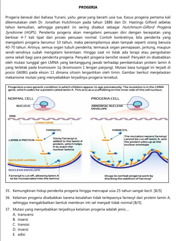 PROGERIA
Progeria berasal dari bahasa Yunani, yaitu geras yang berarti usia tua. Kasus progeria pertama kali
dikemukakan oleh Dr. Jonathan Hutchinson pada tahun 1886 dan Dr. Hastings Gilford sebelas
tahun kemudian, sehingga penyakit ini sering disebut sebagai Hutchinson-Gilford Progeria
Syndrome (HGPS). Penderita progeria akan mengalami penuaan dini dengan kecepatan yang
berkisar 4-7 kali lipat dari proses penuaan normal. Contoh konkretnya, bila penderita yang
mengalami progeria berumur 10 tahun, maka penampilannya akan tampak seperti orang berusia
40-70 tahun. Artinya, semua organ tubuh penderita, termasuk organ pernapasan, jantung, maupun
sendi-sendinya sudah mengalami kerentaan. Hingga saat ini tidak ada terapi atau pengobatan
sama sekali bagi para penderita progeria. Penyakit progeria bersifat resesif. Penyakit ini disebabkan
oleh mutasi tunggal gen LMNA yang bertanggung jawab terhadap pembentukan protein lamin A
yang terletak pada kromosom 1q (kromosom 1 lengan panjang). Mutasi basa tunggal ini terjadi di
posisi G608G pada ekson 11 dimana sitosin tergantikan oleh timin. Gambar berikut menjelaskan
mekanisme mutasi yang menyebabkan terjadinya progeria tersebut.
35. Kemungkinan hidup penderita progeria hingga mencapai usia 25 tahun sangat kecil. [B/S]
36. Kelainan progeria disebabkan karena kesalahan tidak terlepasnya farnesyl dari protein lamin A,
sehingga mengakibatkan bentuk membran inti sel menjadi tidak normal [B/S]
37. Mutasi yang menyebabkan terjadinya kelainan progeria adalah jenis....
A. transversi
B. insersi
C. transisi
D. inversi
E. adisi
