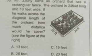 Mr. Zachy owns an orchard that has a
rectangular fence. The orchard is 24feet long
and 10 feet wide. If
he walks across the
diagonal length of
the orchard, how
much distance
would he cover?
(see the figure at the
right)
A. 13 feet C. 16 feet
B. 26 feet D. 23 feet