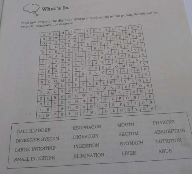 What’s In 
Find and encircle the digestive system related words in the puzzle. Words can be 
vertic 
GALL BLADDER ESOPHAGUS MOUTH PHARYNX 
DIGESTIVE SYSTEM DIGESTION RECTUM ABSORPTION 
LARGE INTESTINE INGESTION STOMACH NUTRITION 
SMALL INTESTINE ELIMINATION LIVER ANUS