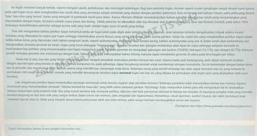 Air huján memberi banyak berkah, seperti mengairi sawah, perkebunan, dan mencegah kekeringan. Bagi para pencinta hujan, momen seperti musim penghujan sangat dinanti-nanti karena
pada saat hujan turun akan menghasilkan bau tanah khas yang aromanya sangat semerbak yang disebut dengan petrkor (petrichor). Kata ini berasal dari bahasa Yunani, yakni pefru yang berarti
'batu' dan ichor yang berarti ''cairan yang mengalir di pembuluh darah para dewa'. Kamus Merriam-Webszter mendeskripsikan bahwa petrichor sebagai bau tanah yang menyenangkan yang
diasosiasikan dengan hujan, terutama setelah cuaca panas dan kering. Istilah petrichor ini dikenalkan oleh dua ilmuwan asal Australia, Babel Joy Bear dan Richard Grenfell, pada tahun 1964.
Keduanya mendefinisikan petrichor sebagai aroma unik yang hadir setelah hujan turun di tanah yang kering.
Para ahli mengatakan bahwa petrikor dapat terbentuk ketika air hujan jatuh pada objek alam tertentu, seperti tajaman. Jenis tanaman tertentu mengeluarkan minyak selama musim
kemarau yang dilepaskan ke udara saat hujan sehingga menimbulkan aroma khusus yang sering kita keras, yakni aroma petrikor. Selain itu, reaksi lain yang menghasilkan petrikor dapat terjadi
ketika bahan kimia yang diproduksi oleh bakteri penghuni tanah, seperti octinomycetes, diepaskan. Saat kondisi kering, bakteri actinomycetes yang ada di dalam tanah akan berkembang dan
menghasilkan senyawa geosmin ke tanah. Hujan yang turun dianggap ''mengganggu'' senyawa tersebut dan sebagian molekulnya akan lepas ke udara sehingga senyawa aromatik ini
menciptakan bau petrikor yang menyenangkan saat hujan menyentuh tarah, Senyawa geosmin ini merupakan gabungan dari karbon (79,06%), hidrogen (12,17%), dan oksigen (8,77%). Manusia
sensitif terhadap geosmin dan menciumnya dengan baik. Sebuah fakta jugä menunjukkan bahwa hidung manusia dapat mendeteksi geosmin di udara pada lima bagian per triliun.
Selain hal di atas, bau lain yang terkait dengan hujan dan menjadi penyebab munculnya petrikor berasal dari ozon. Selama badai petir berlangsung, petir dapat memecah molekul
oksigen dan nitrogen yang berada di atmostei, Semua komponen ini, pada gilirannya, dapat bergabung kembali untuk membentuk nitrogen monoksida. Zat ini berinteraksi dengan bahan kimia
lain di atmosfer dan membentuk qžon (lapisan udara) yang memiliki bau menyengat mirip klorin. Beberapa orang yang sensitif terhadap bau akan dapat mencium bau ini, yang terbawa ke
permukaan oleh angin dzon, Bahkan, mereka yang memiliki kemampuan tersebut dapat meramal hujan dari bau ini, yang dibawa ke permukaan oleh angin ozon yang disebabkan oleh ozon
tersebut.
Lalu, bagaimana petrikor dapat menimbulkan perasaan emosional untuk memicu ingatan akan peristiwa tertentu? Beberapa penelitian telah menunjukkan bahwa bau memicu ingatan
emosional yang menyampaikan perasaan "dibawa kembali ke masa lalu" yang lebih intens daripada gambar. Psychology Todøy melaporkan bahwa para ahli mengatakan hal ini disebabkan
adanya rangsangan pada anatomi otak. Bau yang masuk pertama kali, termasuk petrikor, diproses oleh bola penciuman (dimulai di hidung đan berjalan di sepanjang pangkal otak) yang memilik
koneksi langsung ke dua area otak yang sangat terlibat dalam emosi dan memori, yaitu amygdala dan hippocampus. Menariknya, visual (gambar), auditori (suara), dan taktil (sentuhan) tidak
melewati daerah otak ini, Inilah yang menjadi alasan bahwa penciuman lebih dari indra lainnya, yakni sangat berhasil membangkitkan emosi dan ingatan.
(Diadaptasi dari https://www.grɑmedia.com/literosi/petrichor)
Dapat disimpulkan bahwa aroma petrikor bersumber dani .