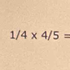 1/4* 4/5=