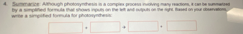 Summarize: Although photosynthesis is a complex process involving many reactions, it can be summarized 
by a simplified formula that shows inputs on the left and outputs on the right. Based on your observations, 
write a simplified formula for photosynthesis:
□ +□ □ +□
