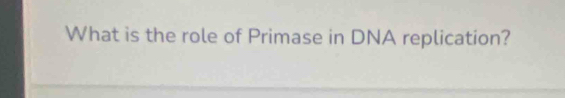 What is the role of Primase in DNA replication?