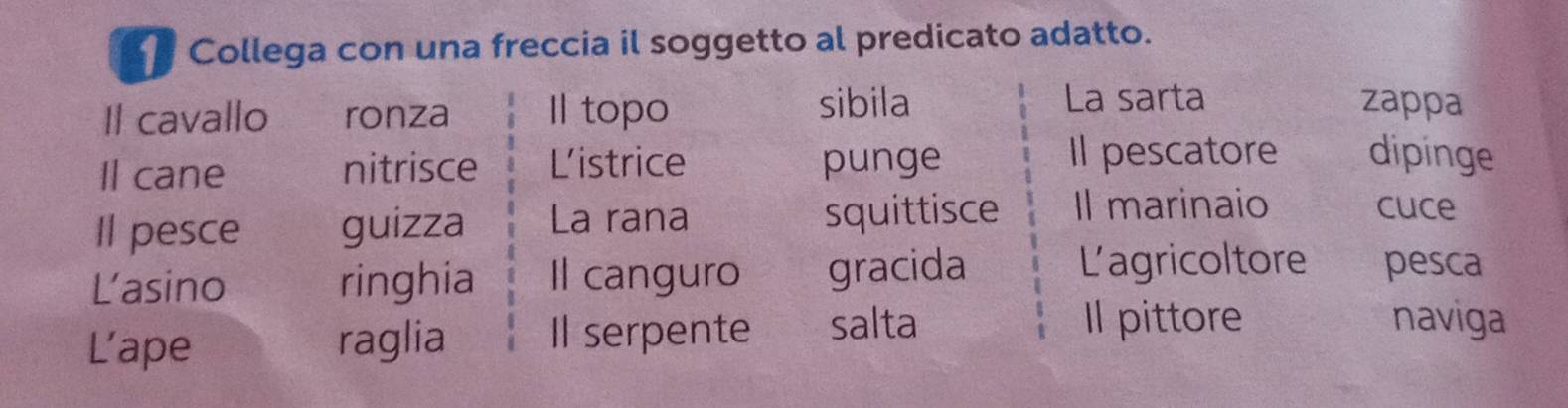 Collega con una freccia il soggetto al predicato adatto. 
Il cavallo ronza I topo sibila La sarta zappa 
Il cane nitrisce Listrice punge 
Il pescatore dipinge 
Il pesce guizza La rana squittisce Il marinaio cuce 
Lasino ringhia Il canguro gracida 
Lagricoltore pesca 
L’ape raglia Il serpente salta 
Il pittore naviga