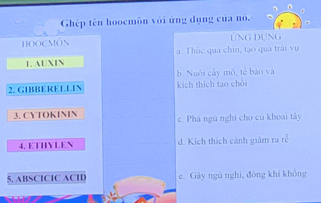 Ghép tên hoocmôn với ứng dụng của nó.
HOOCMON
ỨNG DụNG
a. Thúc quà chín, tạo quả trải vụ
1. AUXIN
b. Nuôi cấy mô, tế bào và
2. GIBBERELLIN kích thích tạo chỗi
3. CYTOKININ
c. Phá ngủ nghi cho củ khoai tây
4. ETHYLEN d. Kích thích cảnh giâm ra rễ
5. ABSCICIC ACID e. Gây ngủ nghi, đóng khí không