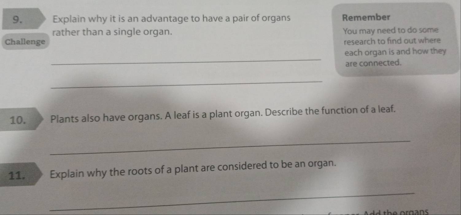 Explain why it is an advantage to have a pair of organs Remember 
rather than a single organ. 
You may need to do some 
Challenge research to find out where 
_ 
each organ is and how they 
are connected. 
_ 
10. Plants also have organs. A leaf is a plant organ. Describe the function of a leaf. 
_ 
11. Explain why the roots of a plant are considered to be an organ. 
_ 
th e organ