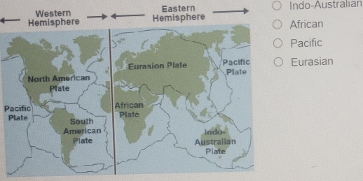 Eastern Indo-Australian
African
Pacific
Eurasian
Pacific