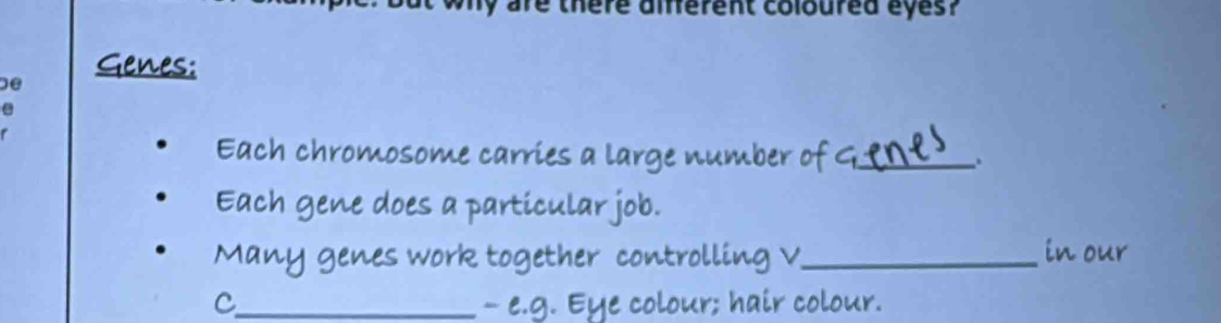 are there amerent coloured eyes? 
Genes: 
be 
e 
Each chromosome carries a large number of G._ . 
Each gene does a particular job. 
Many genes work together controlling V_ in our 
C_ - e.g. Eye colour; hair colour.