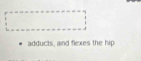square 
adducts, and flexes the hip