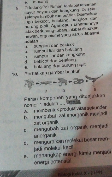 musang
9. Di ladang Pak Bahari, terdapat tanaman
sayur bayam dan kangkung. Di sela-
selanya tumbuh rumput liar. Ditemukan
juga bekicot, belalang, bunglon, dan
burung pipit. Agar daun tanamannya
tidak berlubang-lubang akibat dimakan
hewan, organisme yang harus dibasmi
adalah ....
a. bunglon dan bekicot
b. rumput liar dan belalang
c. rumpur liar dan kangkung
d. bekicot dan belalang
e. belalang dan burung pipit
10. Perhatikan gambar berikut!
1 2 3 4 5
Peran komponen yang ditunjukkan
nomor 1 adalah .... HOTS
a. membentuk produktivitas sekunder
b. mengubah zat anorganik menjadi
zat organik
c. mengubah zat organik menjadi
anorganik
d. menguraikan molekul besar men-
jadi molekul kecil
e. menangkap energi kimia menjadi
energi potensial
Biologi Kelas X - 2 / PN