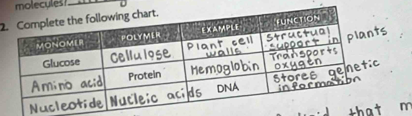 olecules _ 
2