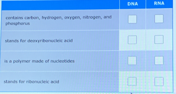 DNA rNa 
s