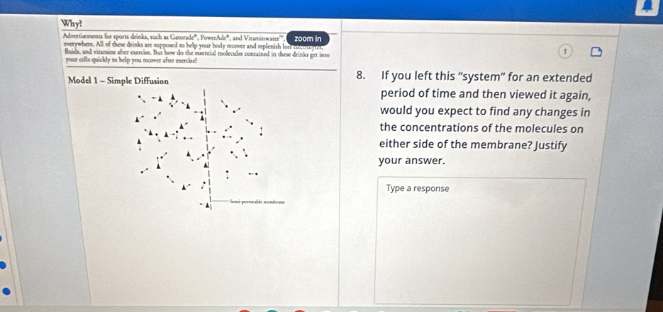 Whył 
Advertisements for sports drinks, such as Gatorade®, Power overline Ni°, and Vitaminwater''', zoom in 
everywhere. All of these drinks are supposed to help your body recover and replenish lost eleetrolyfes, 
fluids, and vitamins after exercise. But how do the essential molecules contained in these drinks get into 
your cells quickly to help you recover after exercise? 
Model 1 - Simple Diffusion 8. If you left this “system” for an extended 
period of time and then viewed it again, 
would you expect to find any changes in 
the concentrations of the molecules on 
either side of the membrane? Justify 
your answer. 
Type a response