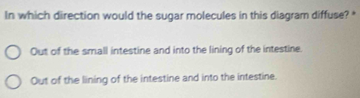 In which direction would the sugar molecules in this diagram diffuse? *
Out of the small intestine and into the lining of the intestine.
Out of the lining of the intestine and into the intestine.