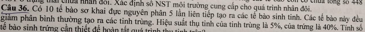 có chứa tổng số 448
trung thái chứa nhân đổi. Xác định số NST môi trường cung cấp cho quá trình nhân đôi. 
Câu 36. Có 10 tế bào sơ khai đực nguyên phân 5 lần liên tiếp tạo ra các tế bào sinh tinh. Các tế bào này đều 
giảm phân bình thường tạo ra các tinh trùng. Hiệu suất thụ tinh của tinh trùng là 5%, của trứng là 40%. Tính số 
bể bào sinh trứng cần thiết để hoàn tất quá trình th