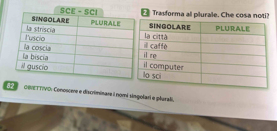 Trasforma al plurale. Che cosa noti? 
82 OBIETTIVO: Conoscere e discriminare i nomi singolari e plurali.