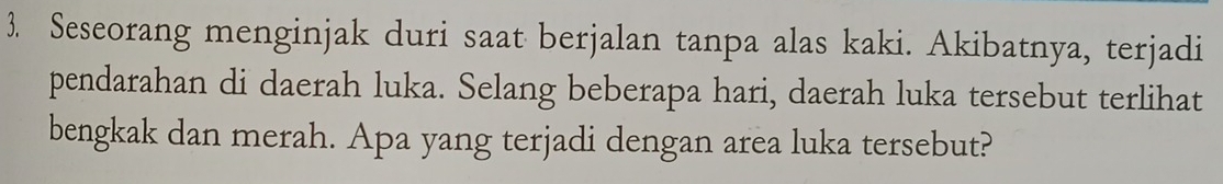 Seseorang menginjak duri saat berjalan tanpa alas kaki. Akibatnya, terjadi 
pendarahan di daerah luka. Selang beberapa hari, daerah luka tersebut terlihat 
bengkak dan merah. Apa yang terjadi dengan area luka tersebut?