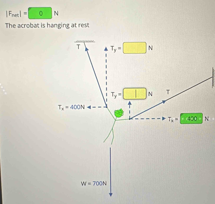 Fnet| =0N
The acrobat is hanging at rest
T
T_y=□ N
T_y=□ N T
T_x=400N
T_x=400 N
W=700N