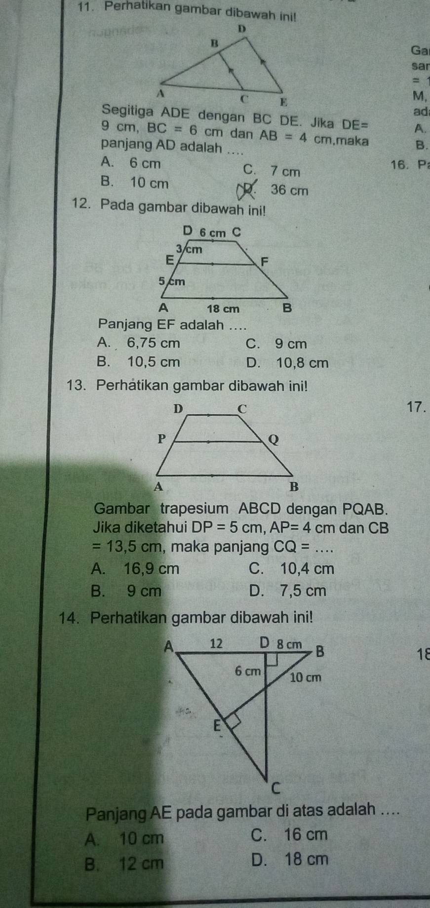 Perhatikan gambar dibawah ini!
Ga
sar
= 1
M,
ad
Segitiga ADE dengan BC DE. Jika DE= A.
9 cm, BC=6cm dan AB=4 cm,maka B.
panjang AD adalah ...
A. 6 cm C. 7 cm
16. P
B. 10 cm 36 cm

12. Pada gambar dibawah ini!
Panjang EF adalah ....
A. 6,75 cm C. 9 cm
B. 10,5 cm D. 10,8 cm
13. Perhatikan gambar dibawah ini!
17.
Gambar trapesium ABCD dengan PQAB.
Jika diketahui DP=5cm, AP=4 cm dan CB
=13,5cm , maka panjang CQ=...
A. 16,9 cm C. 10,4 cm
B. 9 cm D. 7,5 cm
14. Perhatikan gambar dibawah ini!
18
Panjang AE pada gambar di atas adalah ....
A. 10 cm C. 16 cm
B. 12 cm
D. 18 cm