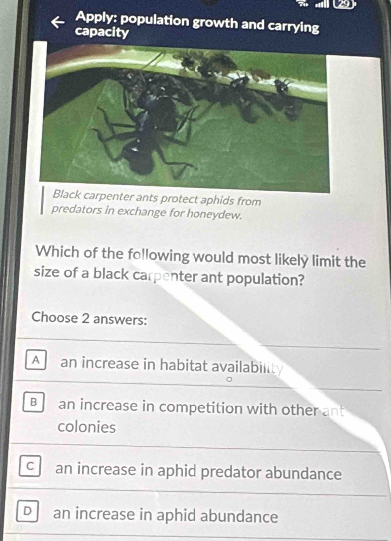 Apply: population growth and carrying
capacity
er ants protect aphids from
predators in exchange for honeydew.
Which of the following would most likely limit the
size of a black carpenter ant population?
Choose 2 answers:
A an increase in habitat availability
B an increase in competition with other ant
colonies
C an increase in aphid predator abundance
D an increase in aphid abundance