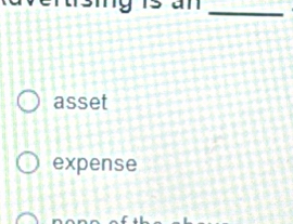 asset 
expense