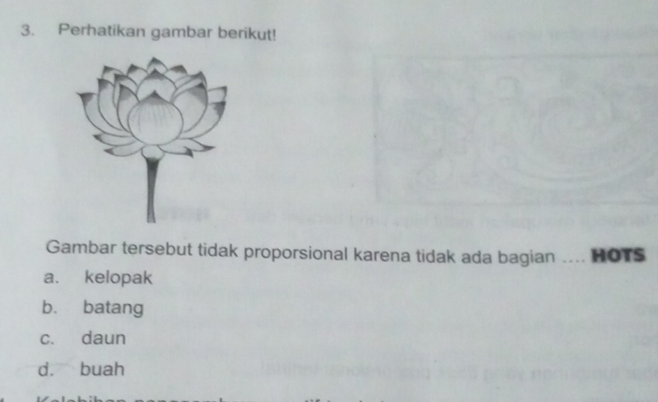 Perhatikan gambar berikut!
Gambar tersebut tidak proporsional karena tidak ada bagian .... HOTS
a. kelopak
b. batang
c. daun
d. buah