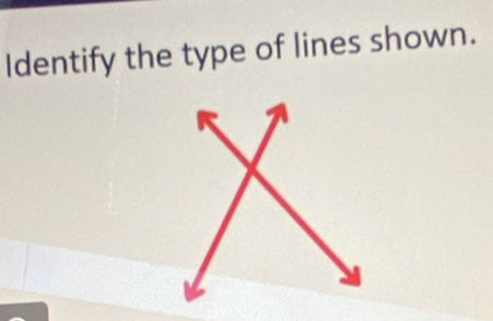 Identify the type of lines shown.