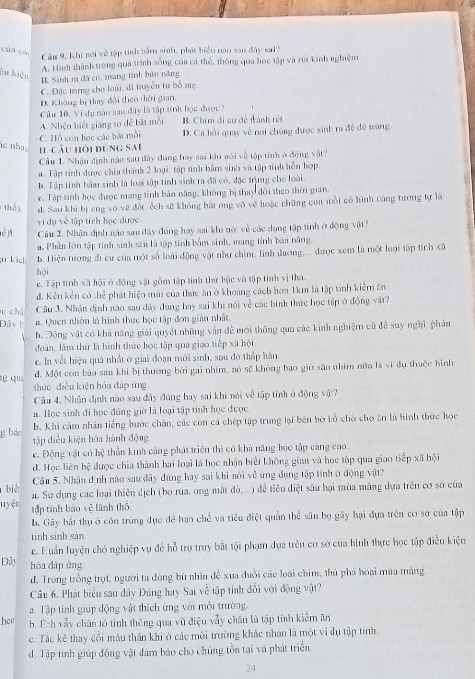 cùn cáo Câu 9. Khi nói về tập tính bắm sinh, phát biểu nào sau đây sai?
A. Hình thành trong quá trình sống của cá thể, thông qua học tập và rút kinh nghiệm
êu kiện
B. Sinh ra dã có, mang tỉnh bān năng.
C. Đặc trưng cho loài, đi truyền từ bố mẹ.
D. Không bị thay đổi theo thời gian.
Câu 10, Ví dụ nào sau đây là tập tính học được
A. Nhện biết giăng tơ để bắt mồi B. Chim di cư đề tránh rét
C. Hồ con học các bắt mỗi D. Cá hồi quay về nơi chúng được sinh ra đề đẻ trứng.
c nhau I. câu hỏi đúng sai
Câu 1. Nhận định nảo sau đây đủng hay sai khi nói về tập tính ở động vật?
a. Tập tính được chia thành 2 loại: tập tính bẩm sinh và tập tính hỗn hợp.
b. Tập tính bầm sinh là loại tập tính sinh ra đã có, đặc trựng cho loài.
c. Tập tinh học được mang tính bản năng, không bị thay đổi theo thời gian.
thể) d. Sau khi bị ong vò vẽ đốt, ếch sẽ không bắt ong võ vẽ hoặc những con mồi có hình dáng tương tự là
vi dụ về tập tính học được
)! Cu 2. Nhận định nào sau đây đủng hay sai khi nói về các dạng tập tính ở động vật?
a. Phần lớn tập tính sinh sản là tập tính bắm sinh, mang tính bản năng.
u kich b. Hiện tượng đi cư của một số loài động vật như chim, linh dương,... được xem là một loại tập tính xã
hội
c. Tập tính xã hội ở động vật gồm tập tính thứ bậc và tập tính vị tha.
d. Kên kền có thể phát hiện mùi của thức ăn ở khoảng cách hơn 1km là tập tính kiểm ăn
c chả Câu 3. Nhận định nảo sau dây dùng hay sai khi nói về các hình thức học tập ở động vật?
Dây | a. Quen nhòn là hình thức học tập đơn giản nhất.
b. Động vật có khủ năng giải quyết những vấn đề mới thông qua các kỉnh nghiệm cũ đề suy nghĩ, phán
đoán, làm thứ là hình thức học tập qua giao tiếp xã hột.
c. In vết hiệu quả nhất ở giai đoạn mới sinh, sau đó thấp hằn.
g qu: d. Một con báo sau khi bị thương bởi gai nhím, nó sẽ không bao giờ săn nhím nữa lá ví dụ thuộc hình
thức điều kiện hóa đáp ứng
Câu 4. Nhận định nào sau dây đúng hay sai khi nói về tập tính ở động vật?
a. Học sinh đi học đúng giờ là loại tập tính học được.
b. Khi cảm nhận tiếng bước chân, các con cá chép tập trung lại bên bờ hồ chờ cho ăn là hình thức học
g báo tập diều kiện hóa hành động
c. Động vật có hệ thần kinh càng phát triển thì có khả năng học tập cảng cao.
d. Học liên hệ được chia thành hai loại là học nhận biết không gian và học tập qua giao tiếp xã hội
Câu 5. Nhận dịnh nào sau dây đúng hay sai khi nói về ứng dụng tập tính ở động vật?
biết a. Sử dụng các loại thiên dịch (bọ rùa, ong mắt đỏ,...) đề tiêu diệt sâu hại mùa mảng dựa trên cơ sở của
uyện tập tinh bào vệ lãnh thổ
b. Gây bất thụ ở côn trùng dực đề hạn chế và tiêu diệt quần thể sâu bọ gây hại dựa trên cơ sở của tập
tinh sinh sản
ce. Huấn luyện chó nghiệp vụ để hỗ trợ truy bắt tội phạm dựa trên cơ sở của hình thực học tập điều kiện
Đây hóa dáp ứng
d. Trong trồng trọt, người ta dùng bù nhìn đề xua duổi các loài chim, thú phá hoại mùa màng
Câu 6. Phát biểu sau dây Đúng hay Sai về tập tính đổi với động vật?
a.  Tập tính giúp động vật thích ứng với môi trường.
heo b. Ếch vẫy chân tó tình thông qua vũ điệu vẫy chân là tập tính kiểm ăn
c. Tắc kẻ thay đồi màu thân khi ở các môi trường khác nhau là một vi dụ tập tính.
d. Tập tính giúp động vật đảm bảo cho chúng tồn tại và phát triển.
24