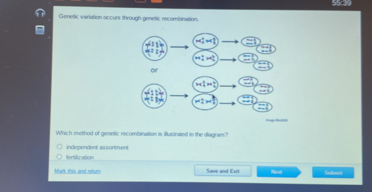 55:39 
Genetic variation occurs through genetic recombination.
x_1^(4x_b^8 =1
beginarray)r to  to endarray beginarrayr to  to endarray
x_A^(a>x_b^b overline =b)
∠ cm
or
( 1/4 *  b/b ) □
overline _ 1
(x_a^(a>x_b^b) overline LI)
overline _ ≌ overline _  
Image Qe2020
Which method of genetic recombination is illustrated in the diagram?
independent assortment
fertilization
Mark this and return Save and Exit Next Submit