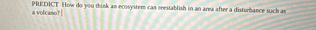 PREDICT How do you think an ecosystem can reestablish in an area after a disturbance such as 
a volcano?