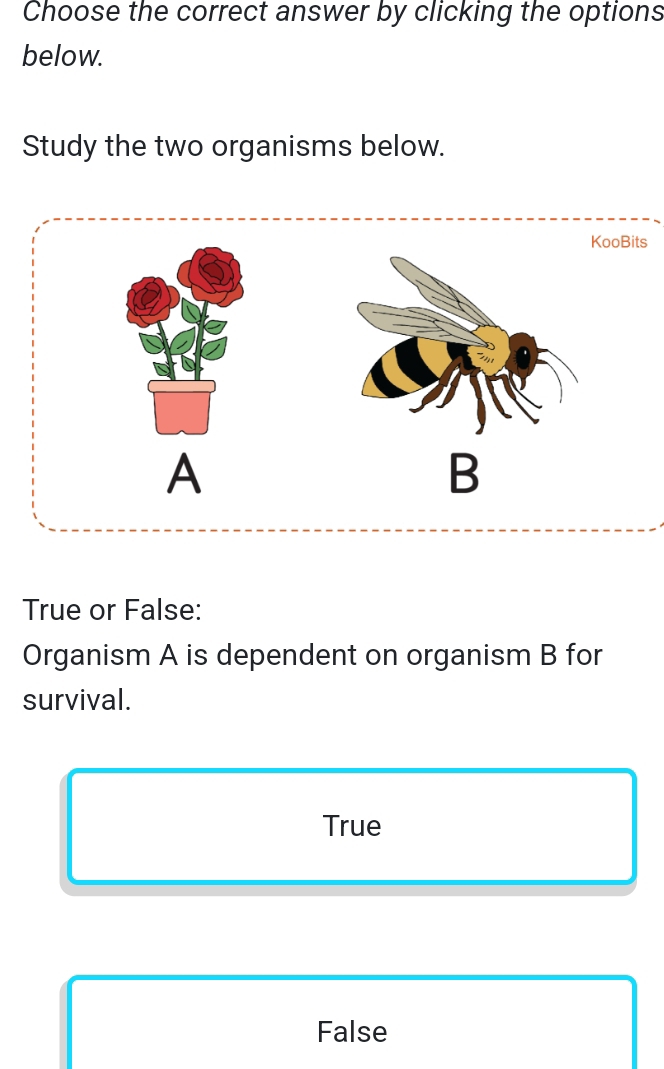 Choose the correct answer by clicking the options
below.
Study the two organisms below.
KooBits
A
B
True or False:
Organism A is dependent on organism B for
survival.
True
False