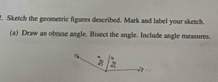 Sketch the geometric figures described. Mark and label your sketch. 
(a) Draw an obtuse angle. Bisect the angle. Include angle measures.