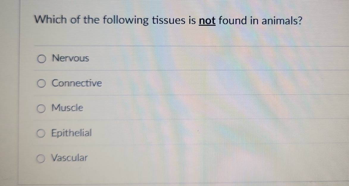 Which of the following tissues is not found in animals?
Nervous
Connective
Muscle
Epithelial
Vascular