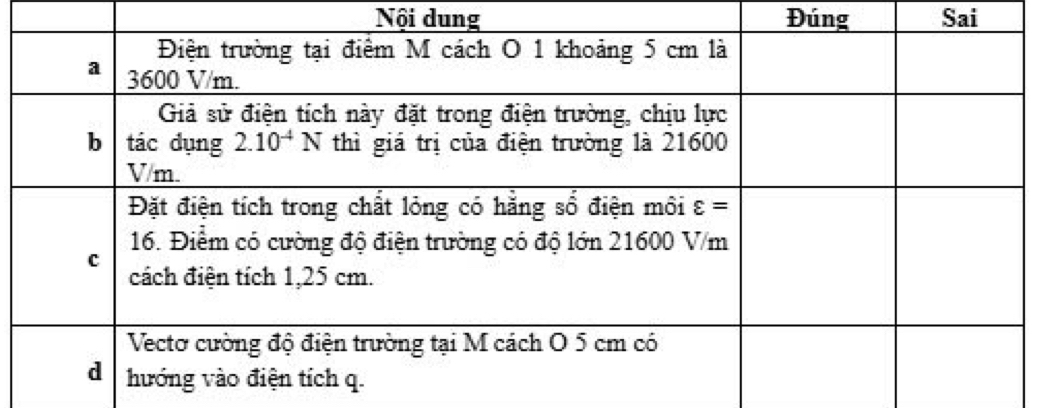 Nội dung Đúng Sai