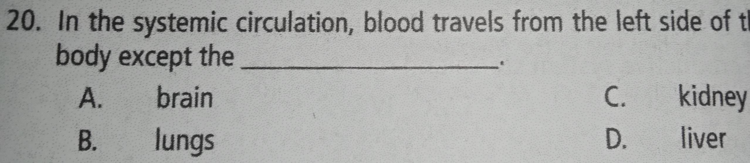 Solved: In the systemic circulation, blood travels from the left side ...