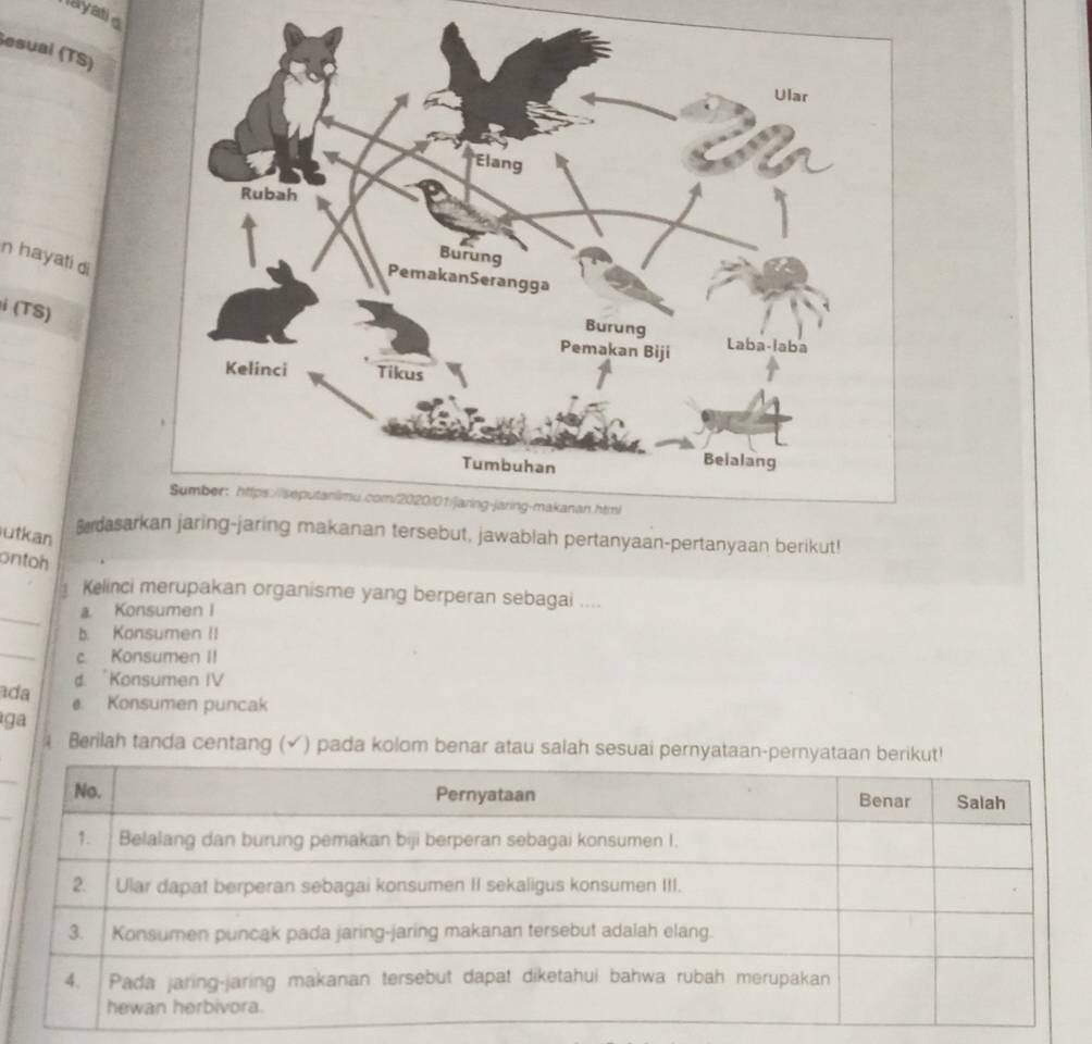 Nayatis
Sesual (TS)
n hayati di
i (TS)
utkan
Bdasaablah pertanyaan-pertanyaan berikut!
ontoh
_
Kelinci merupakan organisme yang berperan sebagai ....
a. Konsumen I
b. Konsumen II
_
c. Konsumen II
d. Konsumen IV
ada Konsumen puncak
ga
Berilah tanda centang (√) pada kolom benar atau salah sesuai pernyataan-pe
_
_