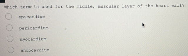 Which term is used for the middle, muscular layer of the heart wall?
epicardium
pericardium
myocardium
endocardium