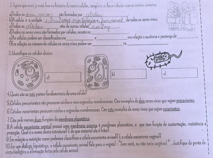 Agora que vacó já está fera na histária da teoris colular, complete as frases ahaio com os tormos corretos 
alodos os_ são formados por_ 
_ 
bA cálula é a unidade de tados as sares vivas 
_ 
eJTodas as vêm de outras cólulas 
_ 
odoos seres vivos são formados por cólulas, es ceto os _. 
eAs células podem ser classificadas em 
f)Em relação so número de células os seres vivas podem sor_ _à _em relação a ausência e presença de 
3.Identifique as células abaixo; 
,ì 
b c 
4.Quais são as três pertes fundementais de uma célula? 
5.Células procariontes não possuem múcleo e nem organelas membranosas. Cite exemplos do dois seres vivos que sejam procaciontes. 
6.Células oucariontes possuem núcleo e organelas membranosas. Cite três exemplos de seres vivos que sejam cucariontes. 
7.Cite pelo menos duas funções da mombrana plasmática. 
8.A célula oecarionte vepetal possui uma membrana extera à memprasa plasimática, e que tem função de sustentação, resistência e 
proteção. Qual é o nome desta estruturas E de que matorial ela é leita 
9.Em relação a nutrição como podemos classificar a célula eucarionte animal? E a célula eucarionte vegetal? 
10.Em um diálogo hipotético, a cólula cucariente animal fala para a vegetal : "Sem você, ou não teria exigênio! ". Justifique do ponto de 
vista biológico a afirmação feita pela célula animal.