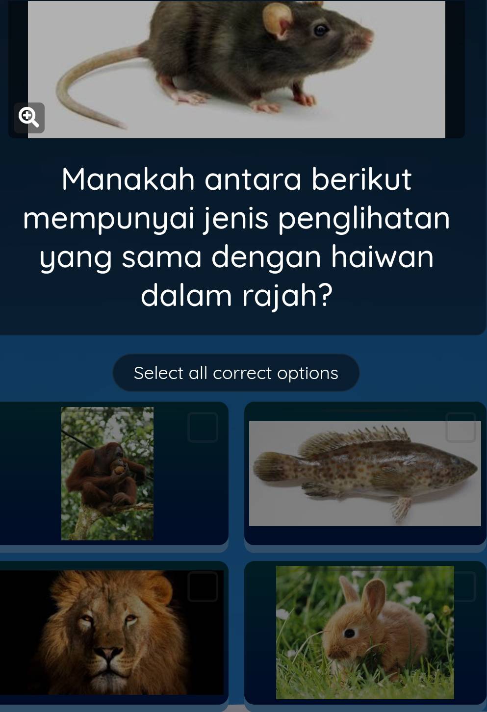 Manakah antara berikut 
mempunyai jenis penglihatan 
yang sama dengan haiwan 
dalam rajah? 
Select all correct options