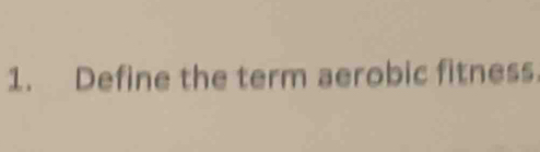 Define the term aerobic fitness