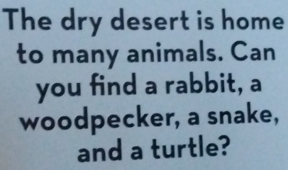 The dry desert is home 
to many animals. Can 
you find a rabbit, a 
woodpecker, a snake, 
and a turtle?