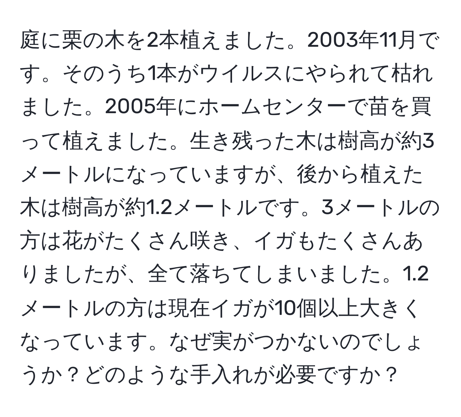 庭に栗の木を2本植えました。2003年11月です。そのうち1本がウイルスにやられて枯れました。2005年にホームセンターで苗を買って植えました。生き残った木は樹高が約3メートルになっていますが、後から植えた木は樹高が約1.2メートルです。3メートルの方は花がたくさん咲き、イガもたくさんありましたが、全て落ちてしまいました。1.2メートルの方は現在イガが10個以上大きくなっています。なぜ実がつかないのでしょうか？どのような手入れが必要ですか？