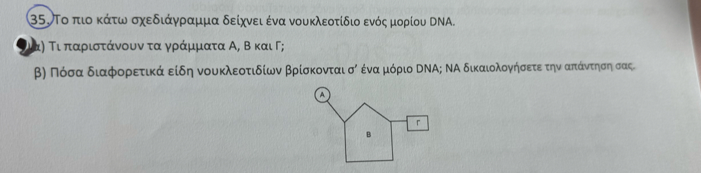 Το πιοοακάτω σχεδιάγραμμα δείχνει ένα νουκλεοτίδιο ενός μορίου ΝΝA. 
αη Τι παριοτάνουνα τα γράμματα Α, Β και Γ;
βη Πόσα διαφορρετικαά είδη νουκλεοτιδίων βρίσκονται σό ένα μόριο ΝΝΑ; ΝΑ δικαιολογήσετεατηναπίάαντηση σας. 
A 
「 
B