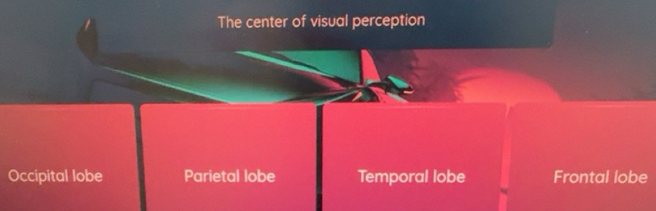 Solved: The center of visual perception Occipital lobe Parietal lobe ...