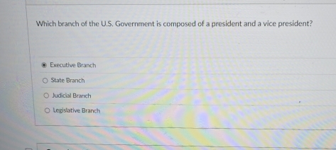 Which branch of the U.S. Government is composed of a president and a vice president?
Executive Branch
State Branch
Judicial Branch
Legislative Branch