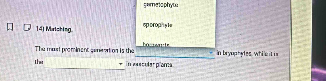 gametophyte 
14) Matching. 
sporophyte 
hornworts 
The most prominent generation is the_ in bryophytes, while it is 
_ 
the in vascular plants.