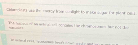 Chloroplasts use the energy from sunlight to make sugar for plant cells. 
The nucleus of an animal cell contains the chromosomes but not the 
vacuoles. 
In animal cells, lysosomes break down waste and worn