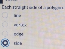 Each straight side of a polygon.
line
vertex
edge
side