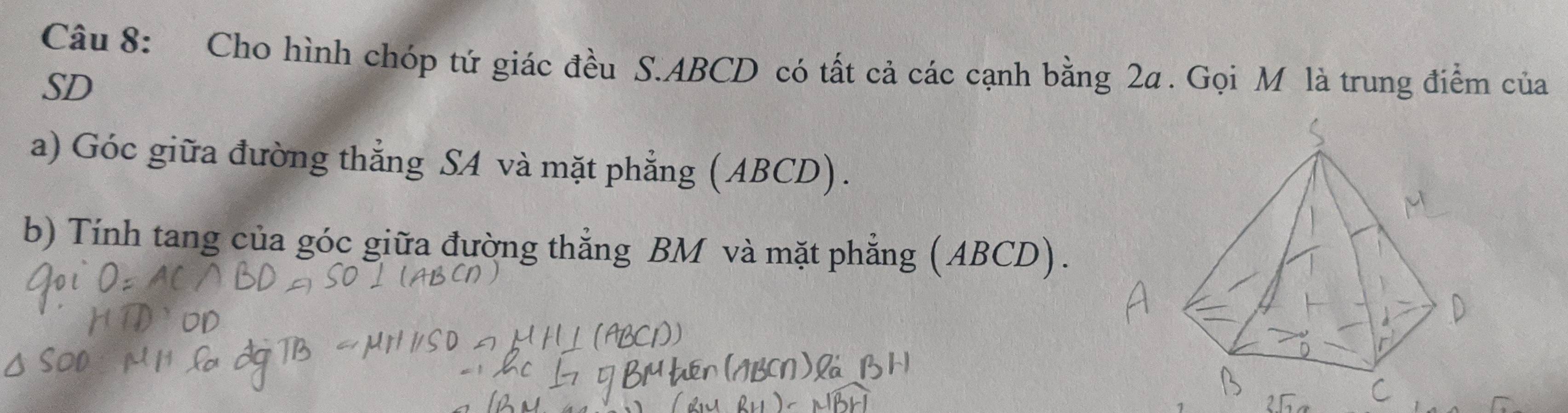 Cho hình chóp tứ giác đều S. ABCD có tất cả các cạnh bằng 2a. Gọi M là trung điểm của 
SD 
a) Góc giữa đường thẳng SA và mặt phẳng (ABCD). 
b) Tính tang của góc giữa đường thẳng BM và mặt phẳng (ABCD).